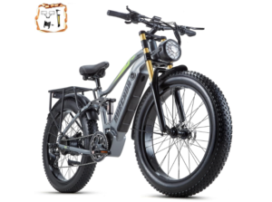 DAMSON Electric Bike for Adult