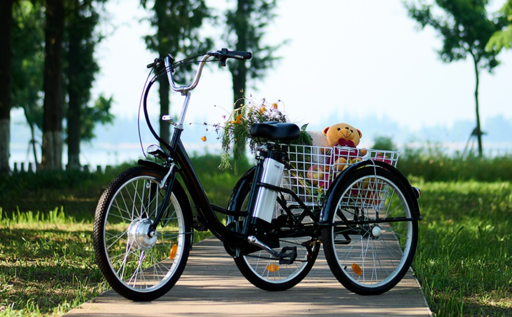 Best Electric Tricycle for Adults