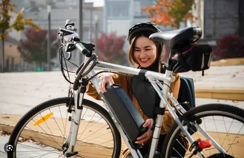 ebike battery diagnose
